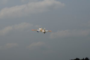 DSC02618
